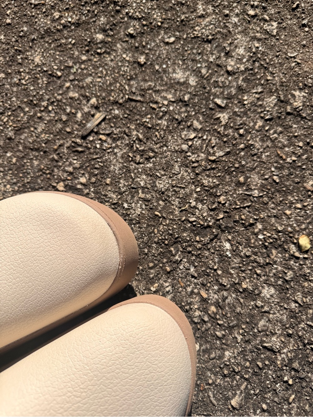 CROCS Dylan Classic Platform Clog - Frappe - Picture 6 of 7